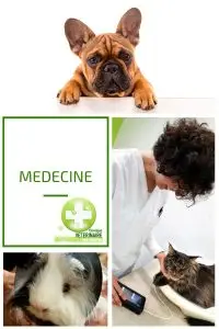 medecine veterinaire vaccination laval