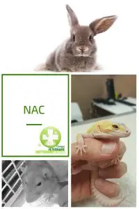 NAC vétérinaire Laval