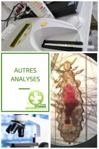 Analyses vétérinaires urines miscoscopie parasites poux gale d'oreille
