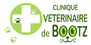 Vétérinaire de Bootz à Laval pour vos chiens, chat, lapins et NAC